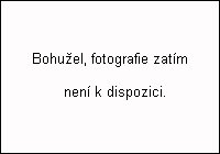 Pr�zdninov� byt �. 1033